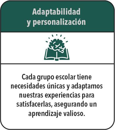 Adaptabilidad y personalización